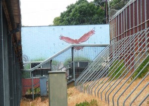 Mural at Magill Training Centre (2012)