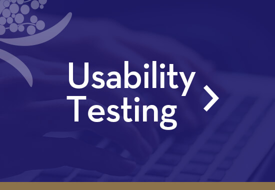 Usability testing icon