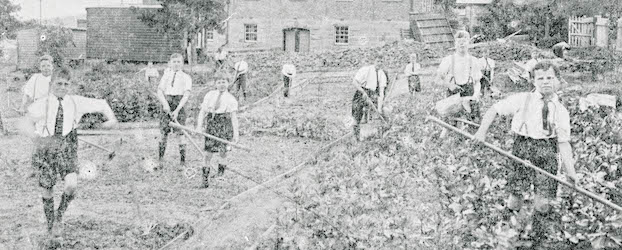 Boys working in the vegetable patch at